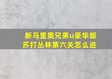 新马里奥兄弟u豪华版 苏打丛林第六关怎么进